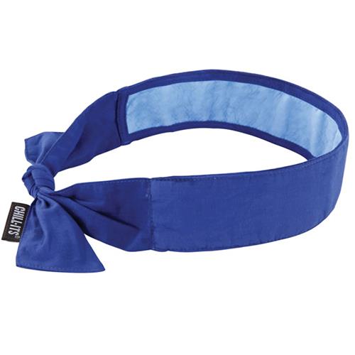 Ergodyne 6700CT Chill Its Evaporative Bandana w/ Cooling Towel